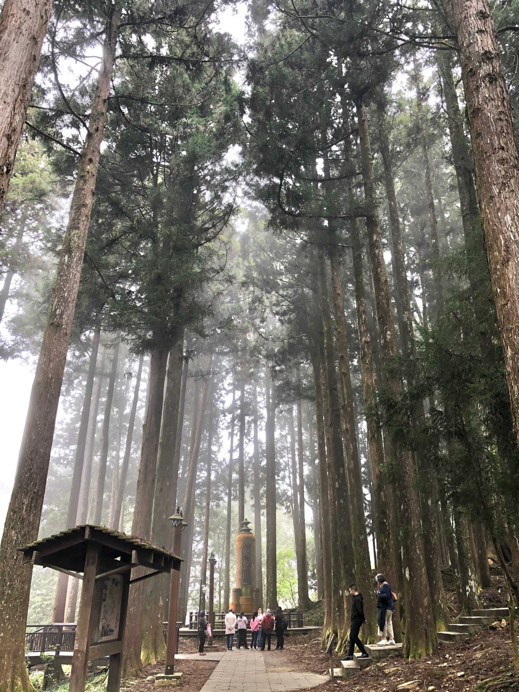 Tree Spirit Pagoda (Image by author)