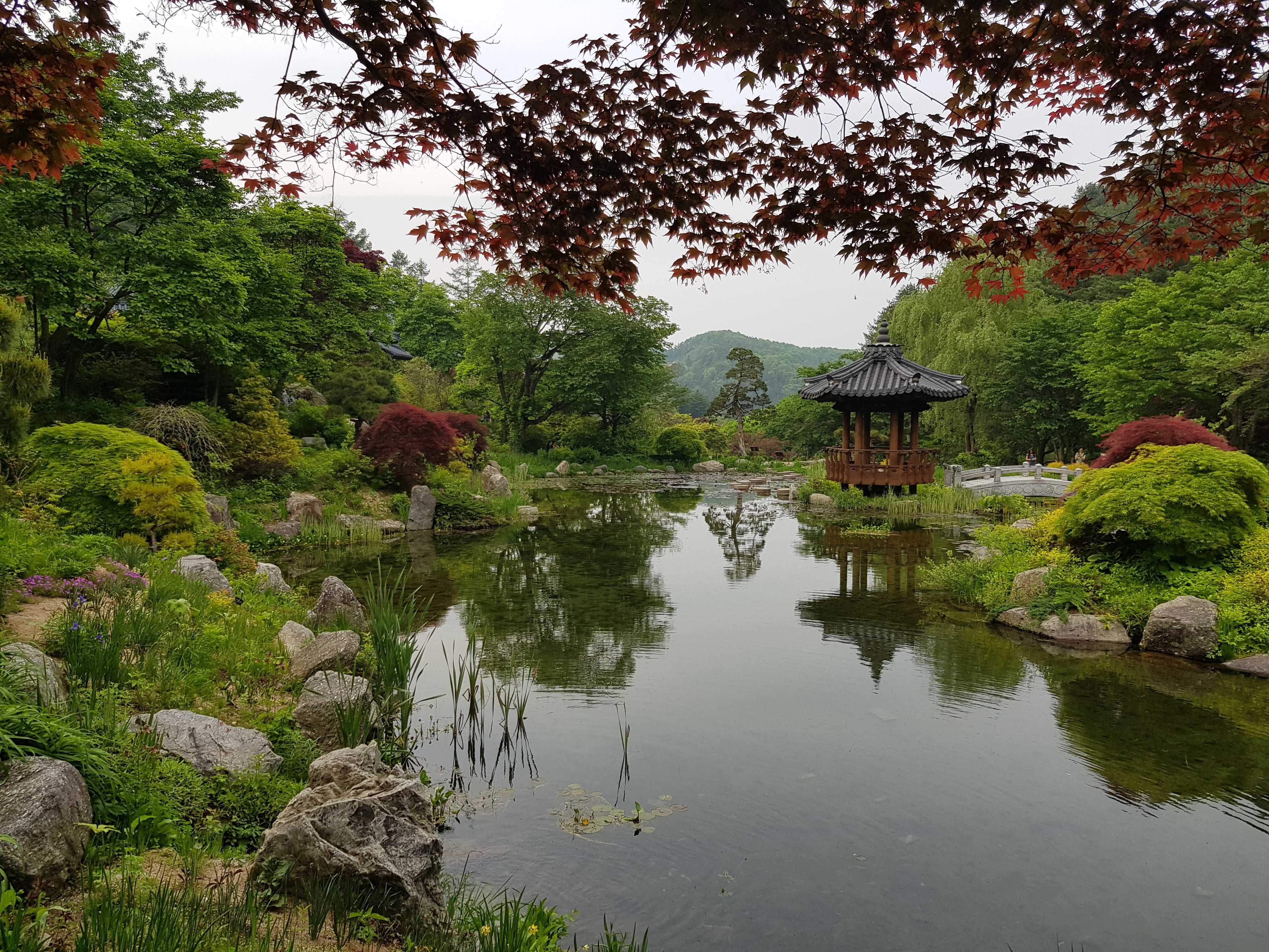 Lake_in_the_Garden_of_Morning_Calm