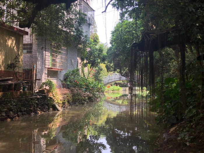 Day 2: Guangdong Chinese Medicine Museum · Xiaozhoucun