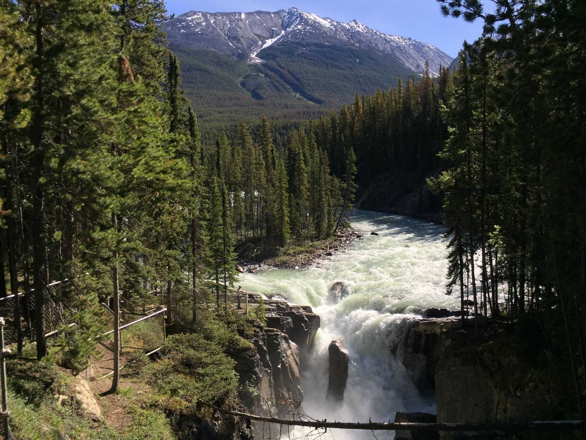 Sunwapta Falls (Image by author)