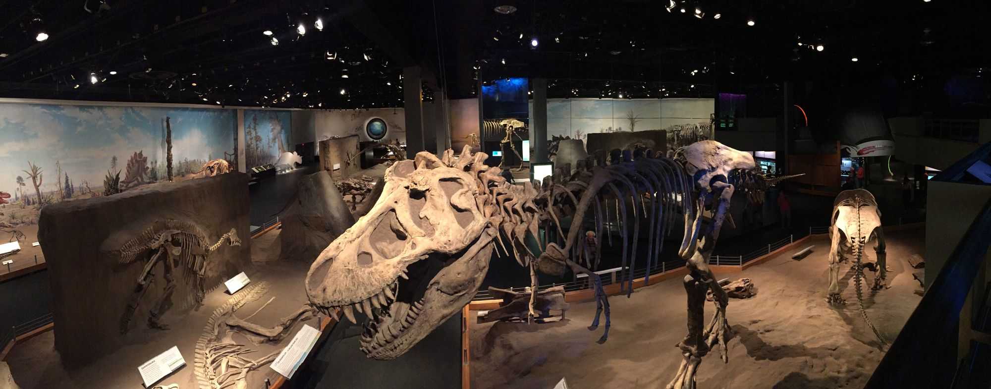 Royal Tyrrel Museum (Image by author)