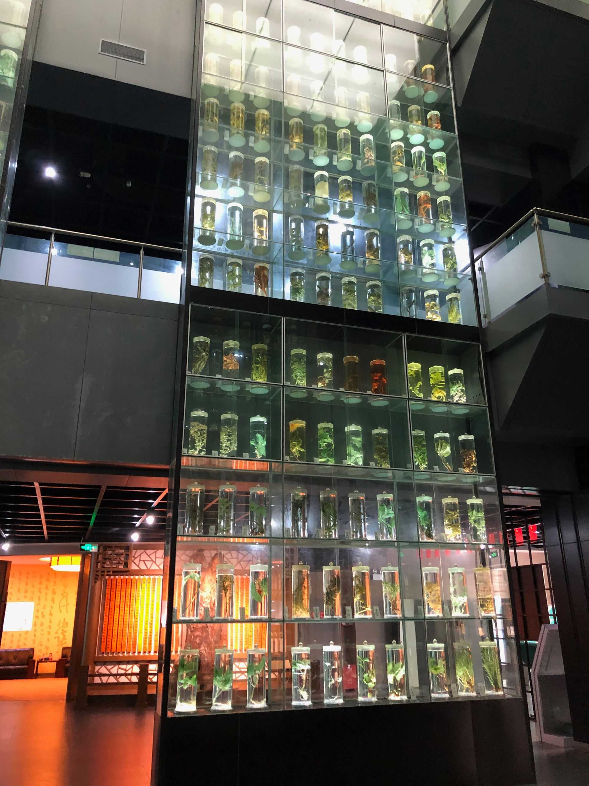 Guangdong Chinese Medicine Museum (广州中医药博物館) (Image by author)